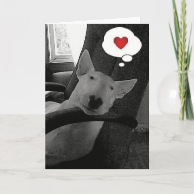 Cartes Pour Fêtes Annuelles valentine anglais de bull-terrier (Devant)