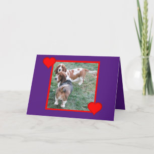 Cartes Pour Fêtes Annuelles Valentine avec de belles et amusantes hounds Basse