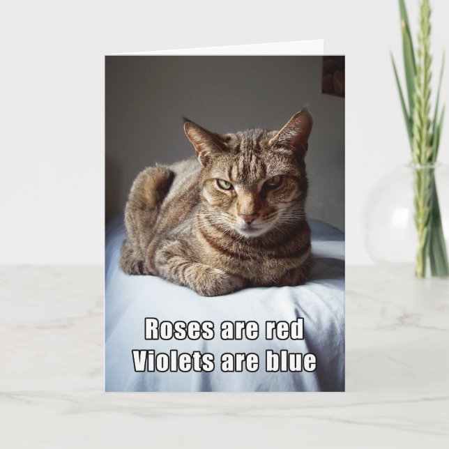 Cartes Pour Fêtes Annuelles Valentine Cat funny poem (Devant)