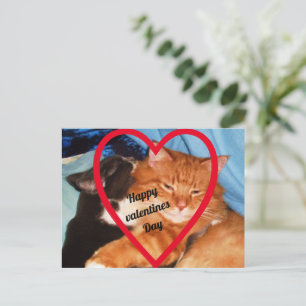 CARTES POUR FÊTES ANNUELLES VALENTINE CAT LOVE