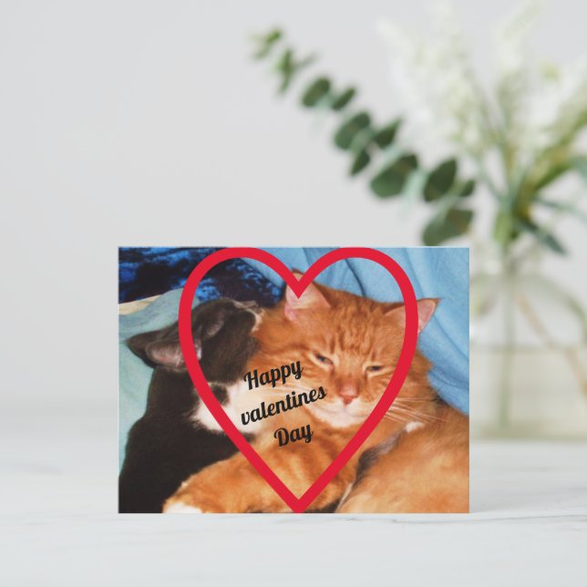 CARTES POUR FÊTES ANNUELLES VALENTINE CAT LOVE (Debout devant)
