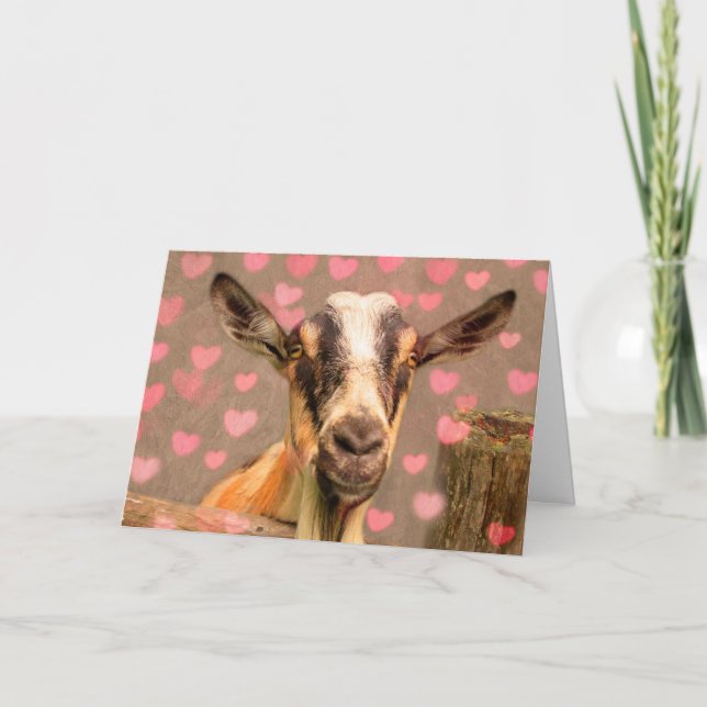 Cartes Pour Fêtes Annuelles Valentine Chèvre (Devant)