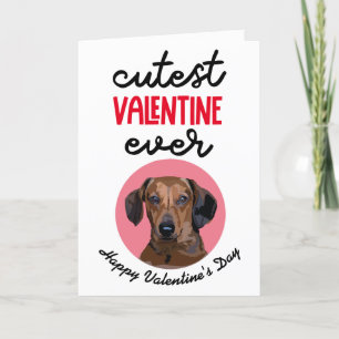 Cartes Pour Fêtes Annuelles Valentine Cutest Ever ..de votre Dachshund