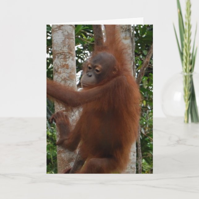 Cartes Pour Fêtes Annuelles Valentine de Lover (Devant)