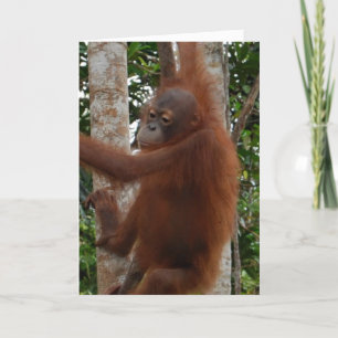 Cartes Pour Fêtes Annuelles Valentine de Lover