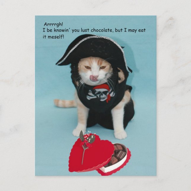 Cartes Pour Fêtes Annuelles Valentine drôle pour l'ami ou la famille (Devant)