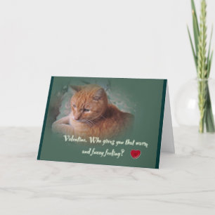 Cartes Pour Fêtes Annuelles Valentine du chat