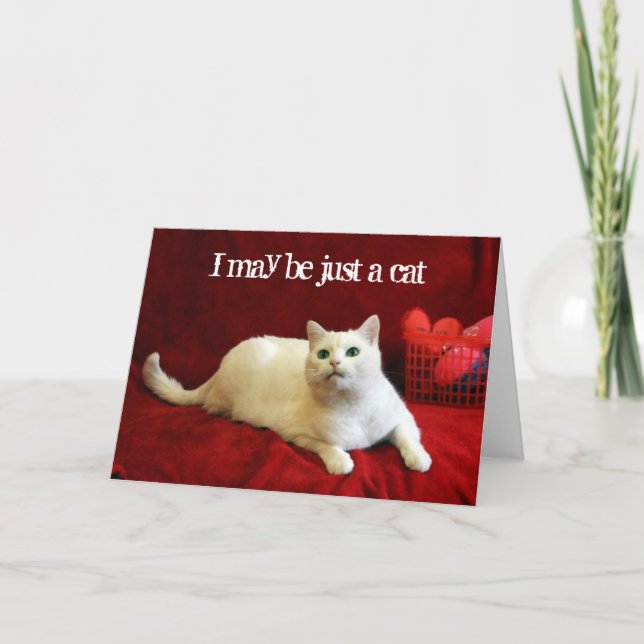 Cartes Pour Fêtes Annuelles Valentine du chat (Devant)