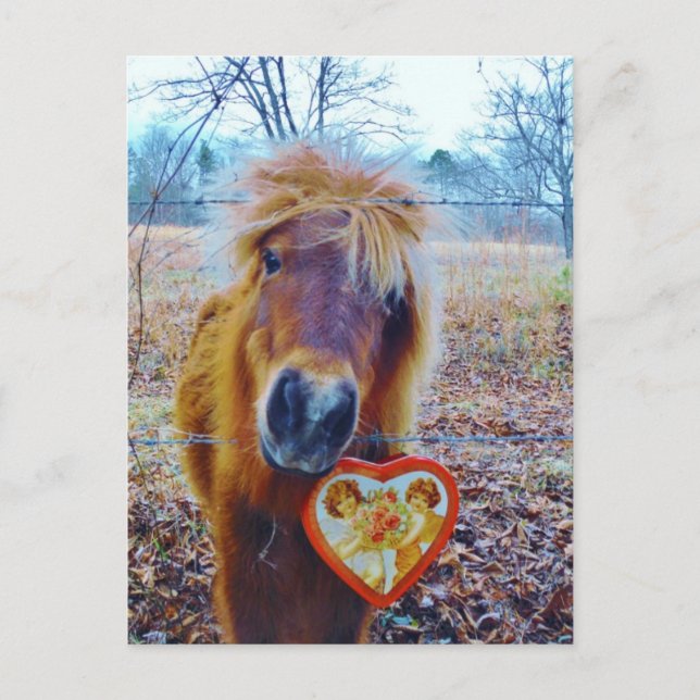Cartes Pour Fêtes Annuelles Valentine Heart Horse (Devant)