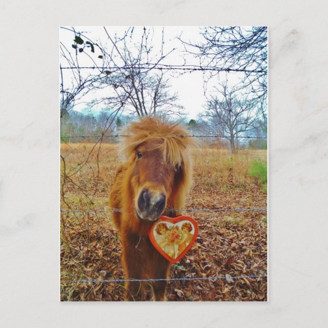 Cartes Pour Fêtes Annuelles Valentine Heart Miniature Brown Horse (Devant)