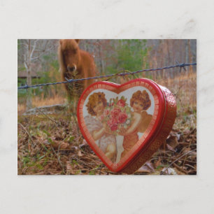Cartes Pour Fêtes Annuelles Valentine Heart Miniature Brown Horse