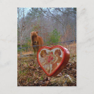 Cartes Pour Fêtes Annuelles Valentine Heart Miniature Brown Horse