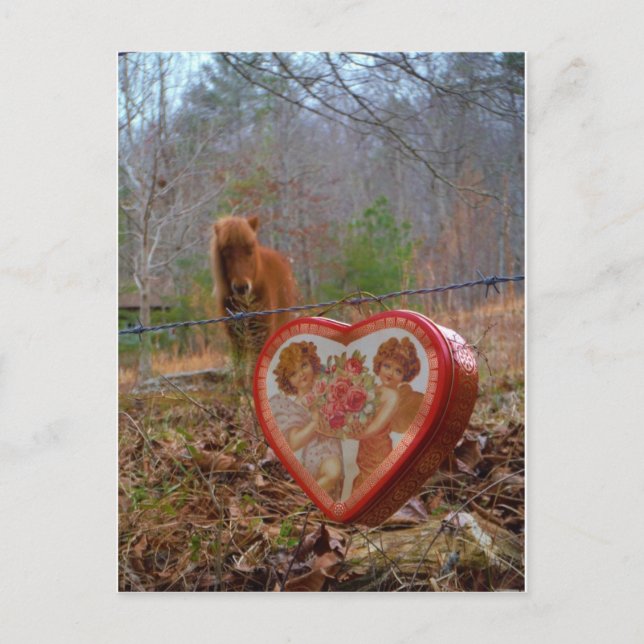 Cartes Pour Fêtes Annuelles Valentine Heart Miniature Brown Horse (Devant)
