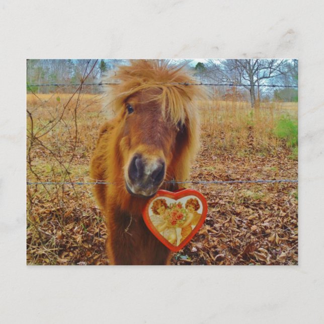 Cartes Pour Fêtes Annuelles Valentine Heart Miniature Brown Horse (Devant)