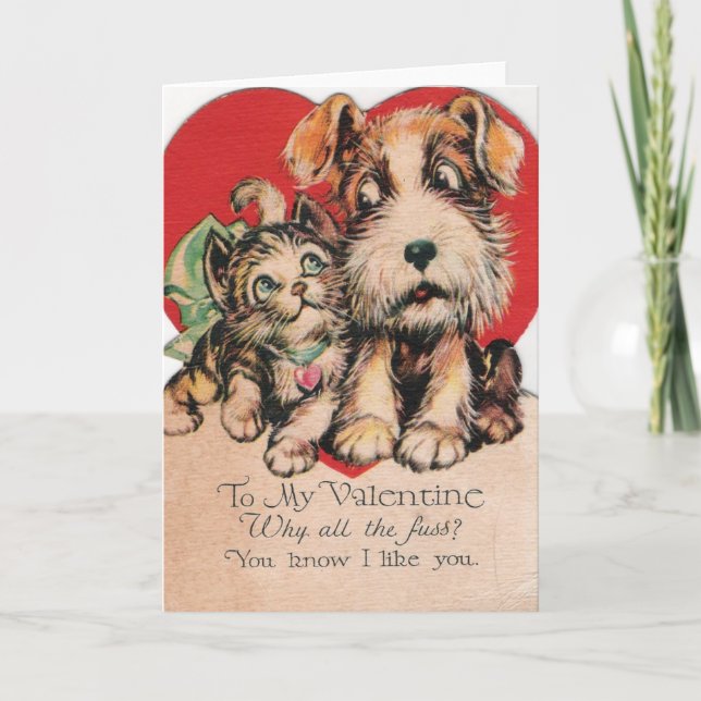 Cartes Pour Fêtes Annuelles Valentine Pourquoi Tous Les Fuss ? (Devant)