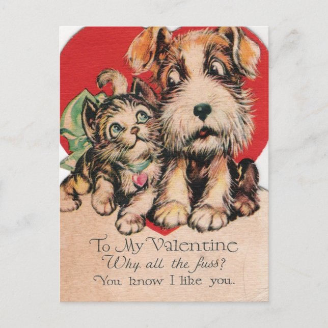 Cartes Pour Fêtes Annuelles Valentine Pourquoi Tous Les Fuss ? (Devant)
