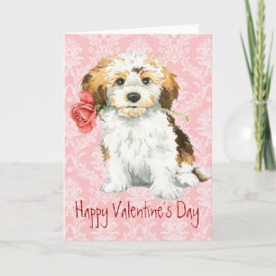 Cartes Pour Fêtes Annuelles Valentine Rose Havanais