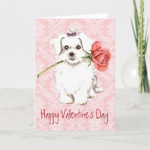 Cartes Pour Fêtes Annuelles Valentine Rose maltais