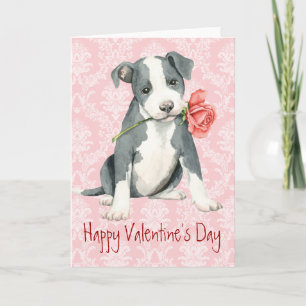 Cartes Pour Fêtes Annuelles Valentine Rose Pit Bull