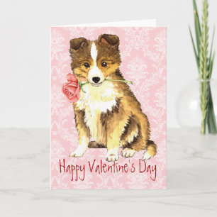Cartes Pour Fêtes Annuelles Valentine Rose Sheltie