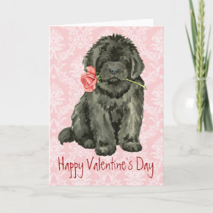 Cartes Pour Fêtes Annuelles Valentine Rose Terre-Neuve
