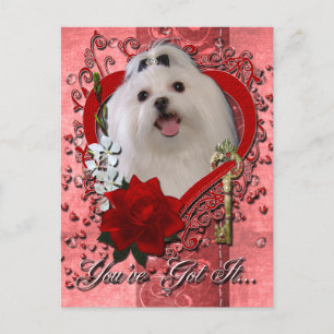 Cartes Pour Fêtes Annuelles Valentines