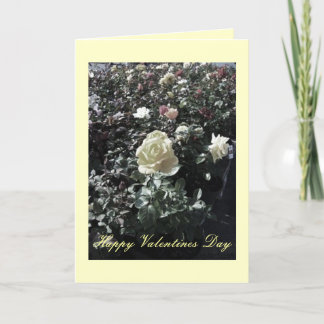 Cartes Pour Fêtes Annuelles Valentines