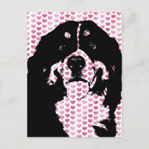 Cartes Pour Fêtes Annuelles Valentines - Bernese Mountain Dog Silhouette