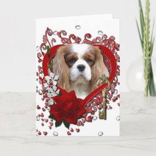 Cartes Pour Fêtes Annuelles Valentines - clé à mon coeur - cavalier - lumière