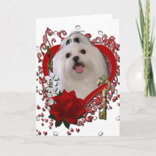 Cartes Pour Fêtes Annuelles Valentines - clé à mon coeur - maltais