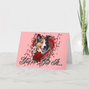 Cartes Pour Fêtes Annuelles Valentines - clé à mon coeur - Sheltie