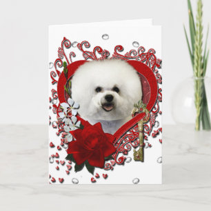 Cartes Pour Fêtes Annuelles Valentines - Clé de mon coeur - Bichon Frise