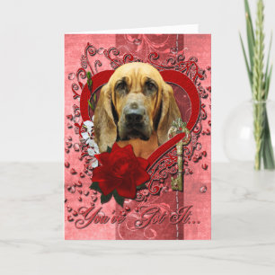 Cartes Pour Fêtes Annuelles Valentines - Clé de mon coeur - Bloodhound - Penne