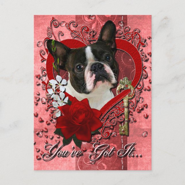 Cartes Pour Fêtes Annuelles Valentines - Clé de mon coeur - Boston Terrier (Devant)