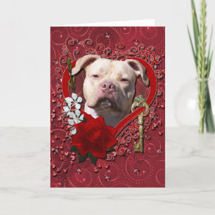 Cartes Pour Fêtes Annuelles Valentines - Clé de mon coeur - Pitbull Jersey Gir