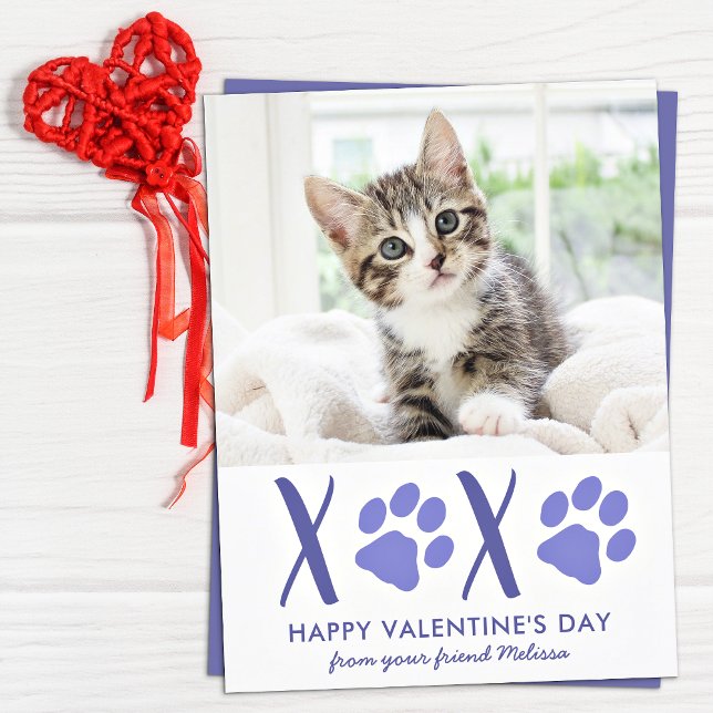 Cartes Pour Fêtes Annuelles Valentines Day Cute Cat Pet Photo Holiday Card (Créateur téléchargé)