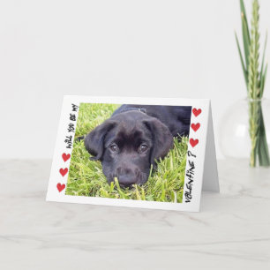 Cartes Pour Fêtes Annuelles Valentine's Day Labrador Puppy Be Mine
