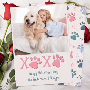 Cartes Pour Fêtes Annuelles Valentines Day XOXO Blush Pastel Pet Chien Photo