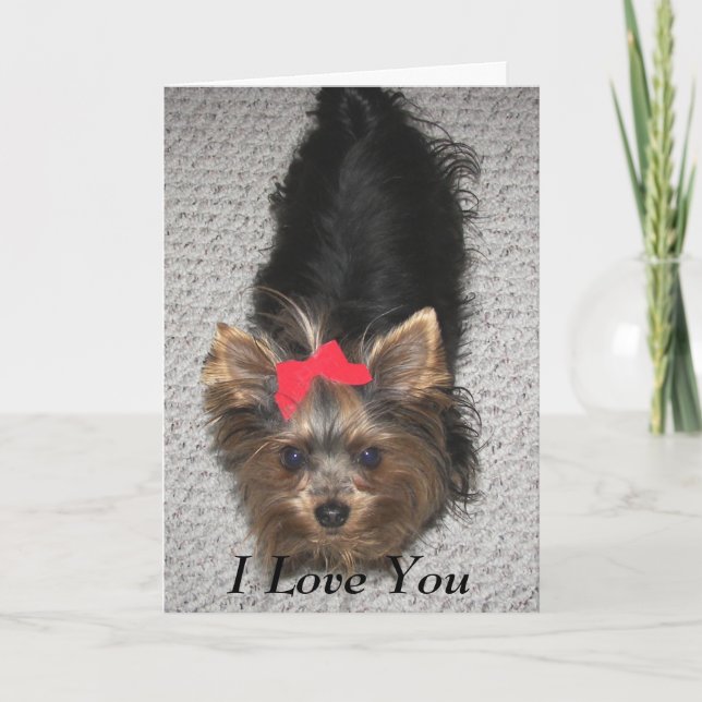 Cartes Pour Fêtes Annuelles Valentines Day - Yorkie Je vous aime (Devant)
