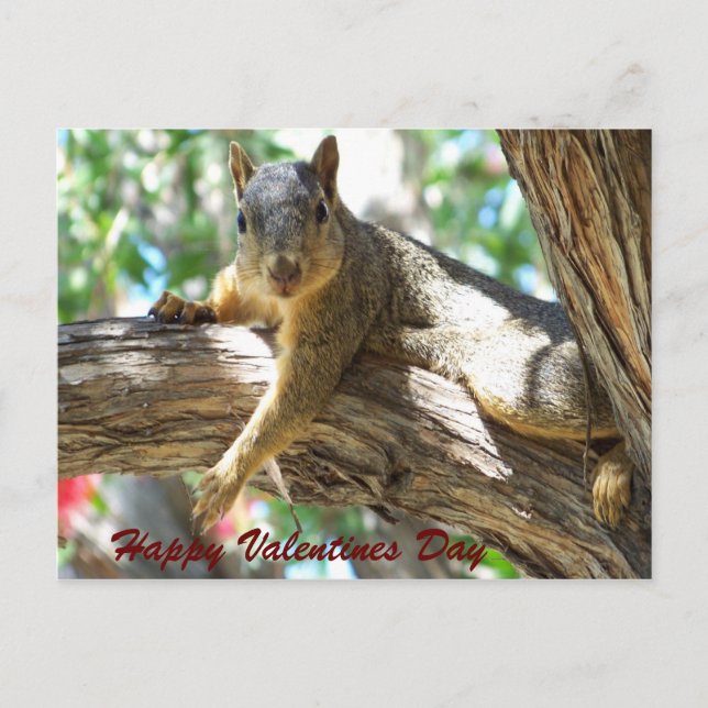 Cartes Pour Fêtes Annuelles Valentines heureux Day_Postcard (Devant)