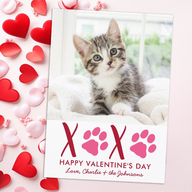 Cartes Pour Fêtes Annuelles Valentines Jour XOXO Cute Kitten Pet Cat Photo (Créateur téléchargé)