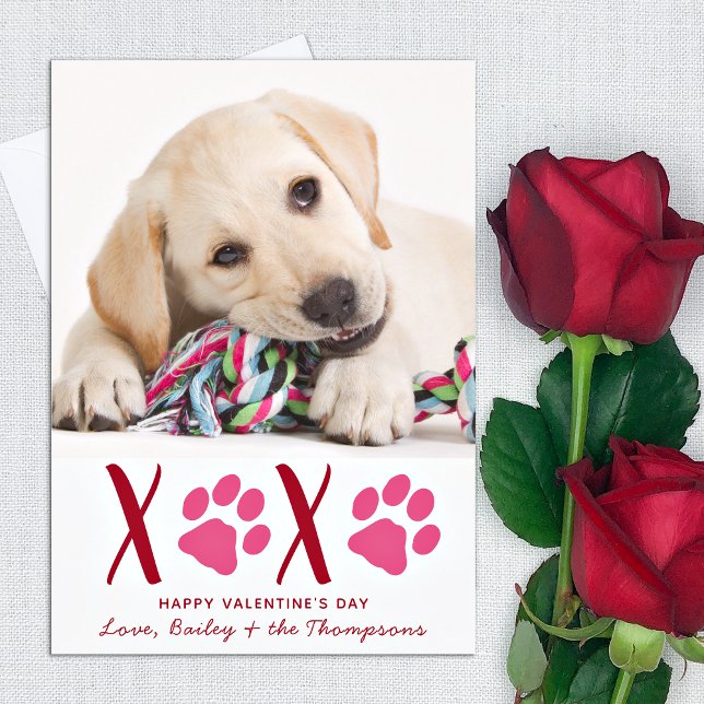 Cartes Pour Fêtes Annuelles Valentines Jour XOXO jolie animal de compagnie Chi (Créateur téléchargé)