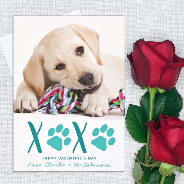 Cartes Pour Fêtes Annuelles Valentines Jour XOXO mignonne Chien Chien (Créateur téléchargé)