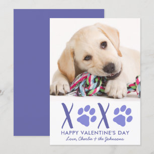 Cartes Pour Fêtes Annuelles Valentines Jour XOXO mignonne Chien Chien Chien An