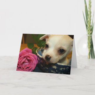 Cartes Pour Fêtes Annuelles Valentines Love Card Baby Chihuahua Rose chiot