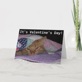 Cartes Pour Fêtes Annuelles Venez Snuggle Cat Valentine