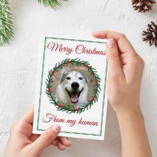 Cartes Pour Fêtes Annuelles Verrerie photo pour animaux de Noël