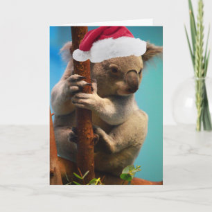 Cartes Pour Fêtes Annuelles Vers le bas sous le koala de Noël