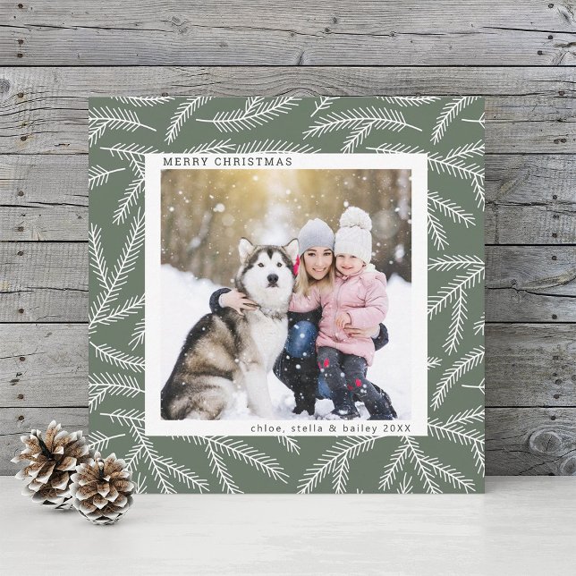 Cartes Pour Fêtes Annuelles Vert sage | Pine Branch Christmas Photo Carré (Créateur téléchargé)