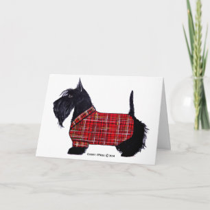 Cartes Pour Fêtes Annuelles Veste Scottie Holiday